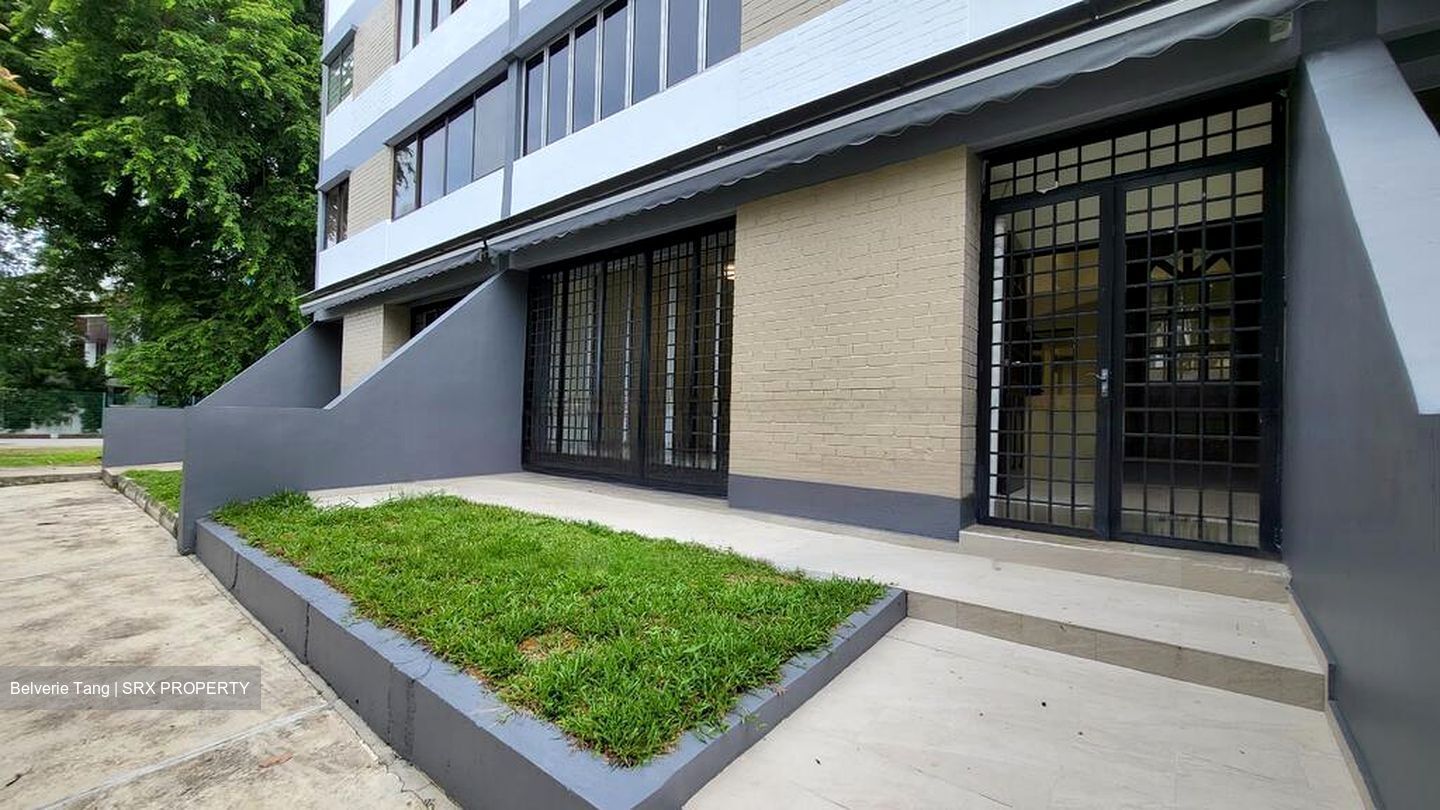 Dunearn Road (D11), Condominium #474200751